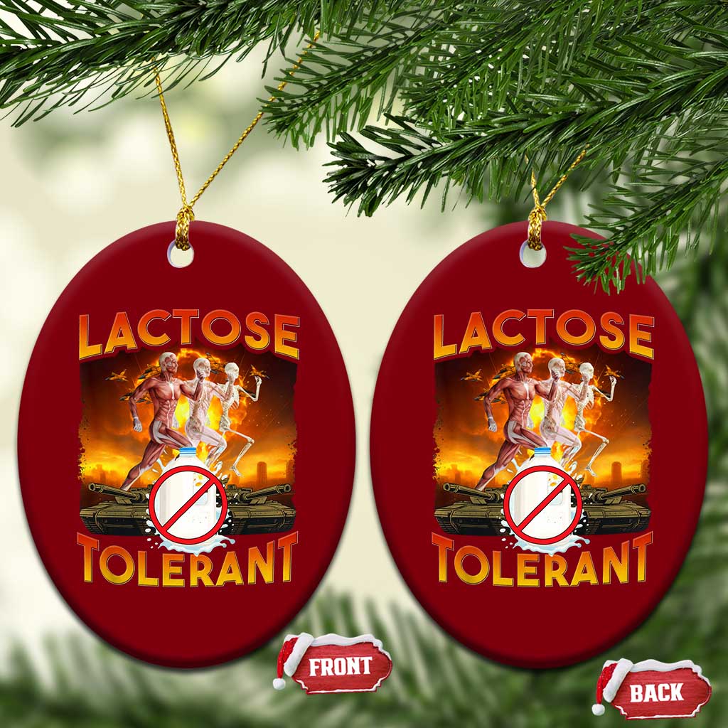 Funny Lactose Tolerant Ceramic Ornament Ironic Sarcastic Funny Humor Cringe Meme - Wonder Print Shop