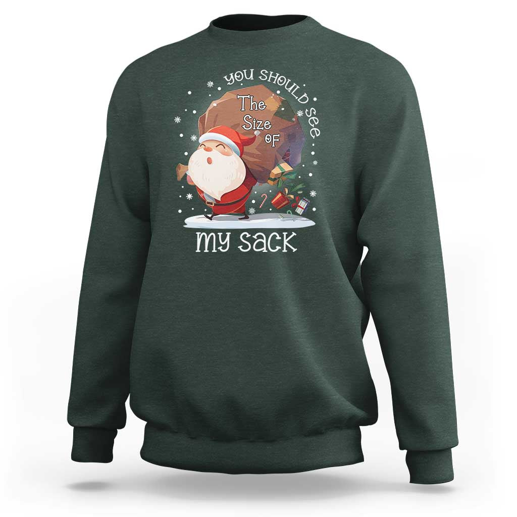 Funny Christmas Santa Sweatshirt You Should See The Size Of My Sack Presents - Wonder Print Shop