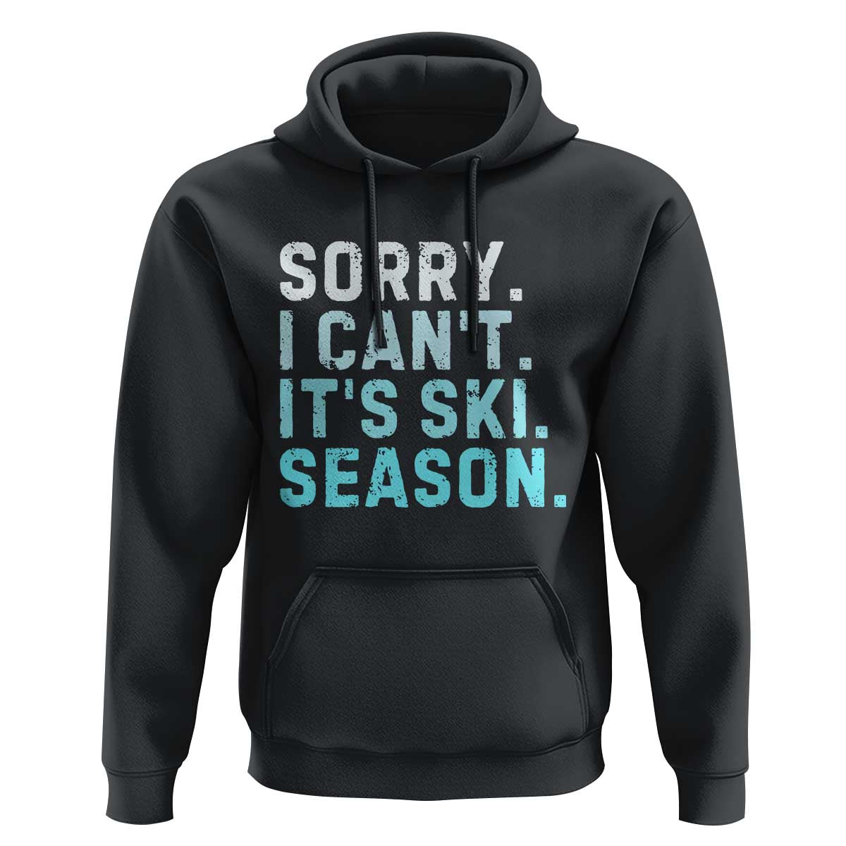 Funny Sorry I Cant It Is Ski Season Hoodie Winter Sports Ski Athlete - Wonder Print Shop