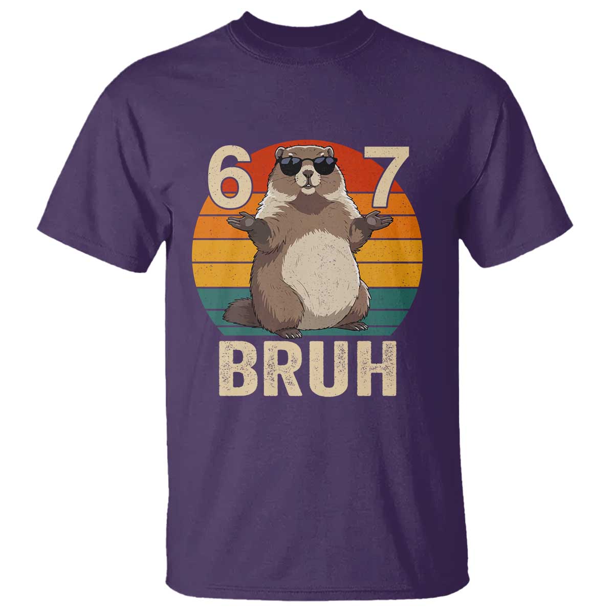 Funny Groundhog 67 T Shirt Six Seven Bruh Retro Vintage Woodchuck Day - Wonder Print Shop