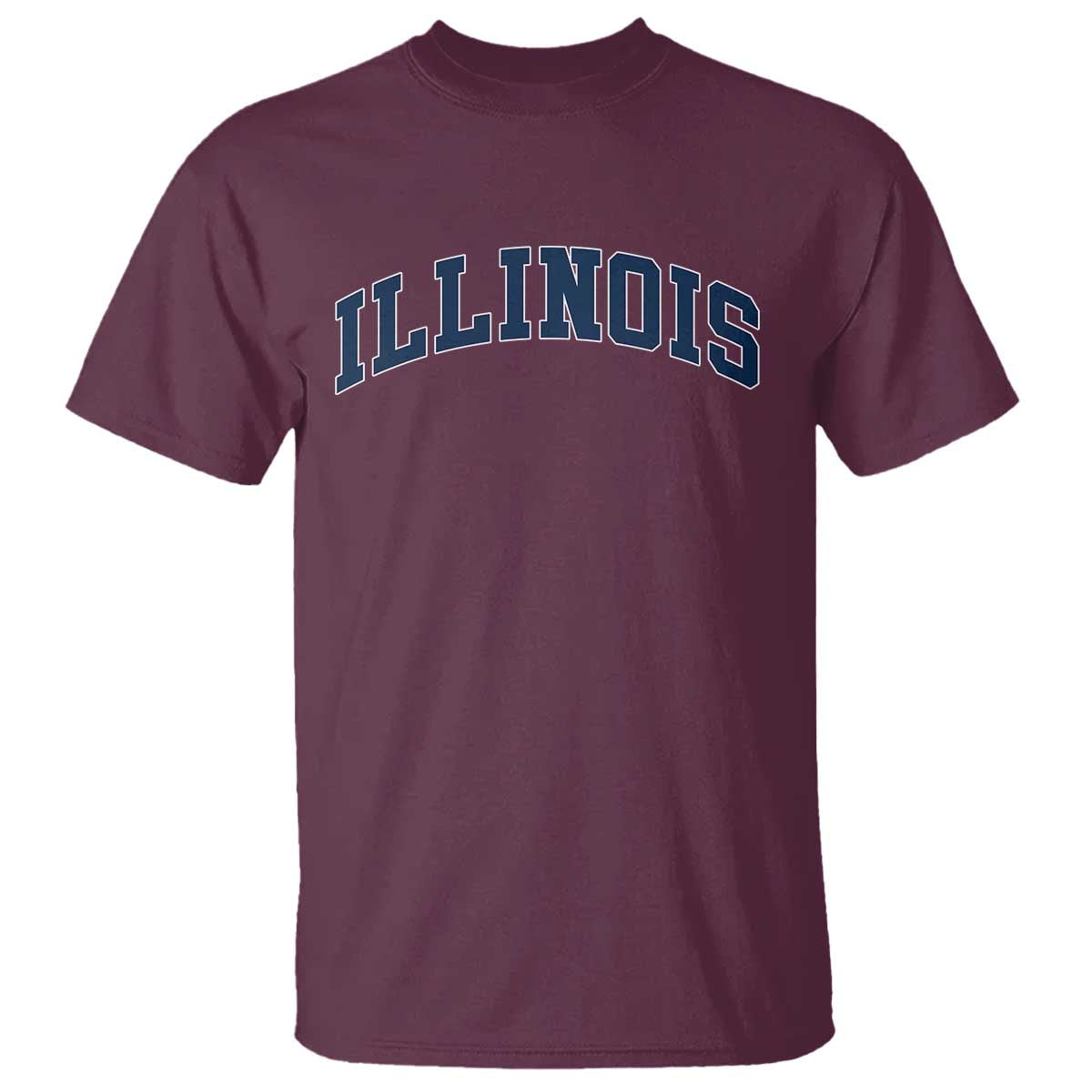 Illinois Sports Fan Vintage Bold Throwback IL State T Shirt