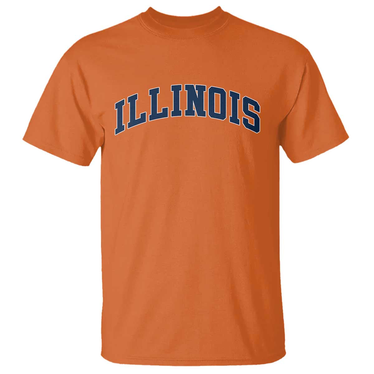 Illinois Sports Fan Vintage Bold Throwback IL State T Shirt