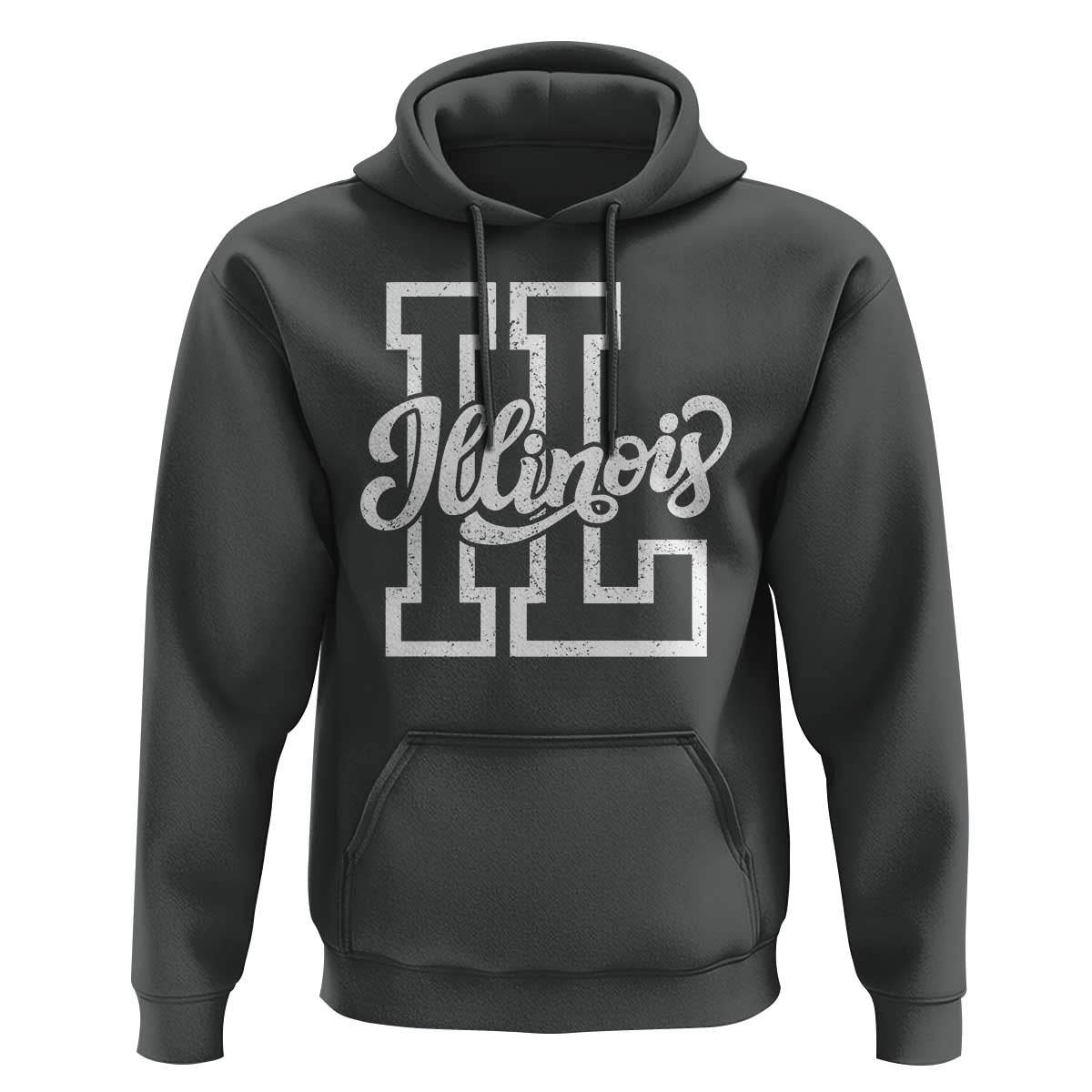 Illinois Sports Fan Hoodie Varsity Aesthetic IL State Pride