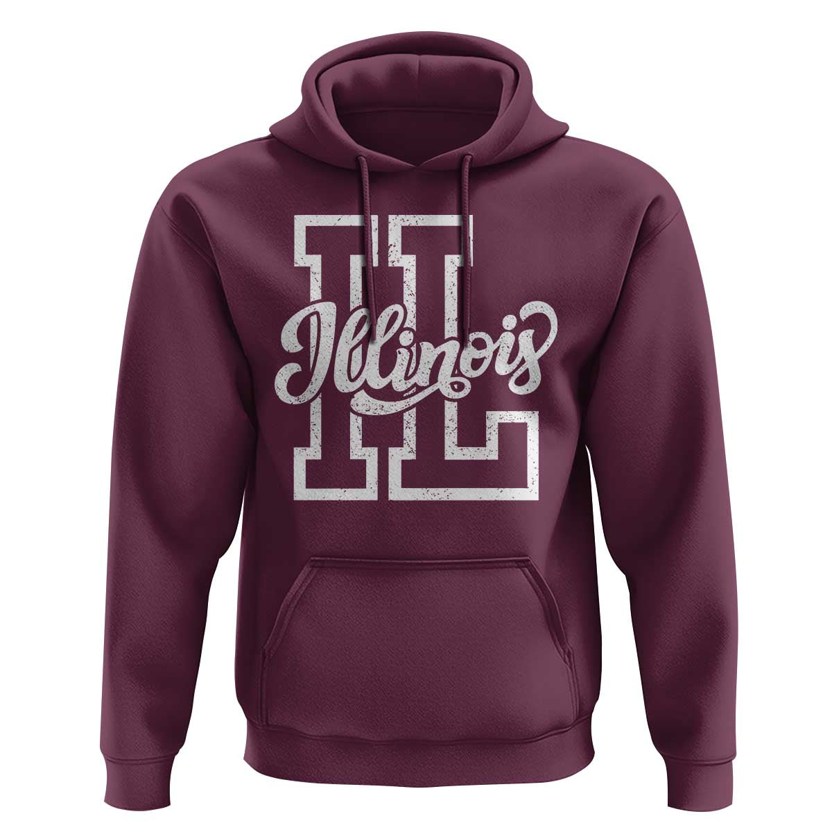 Illinois Sports Fan Hoodie Varsity Aesthetic IL State Pride