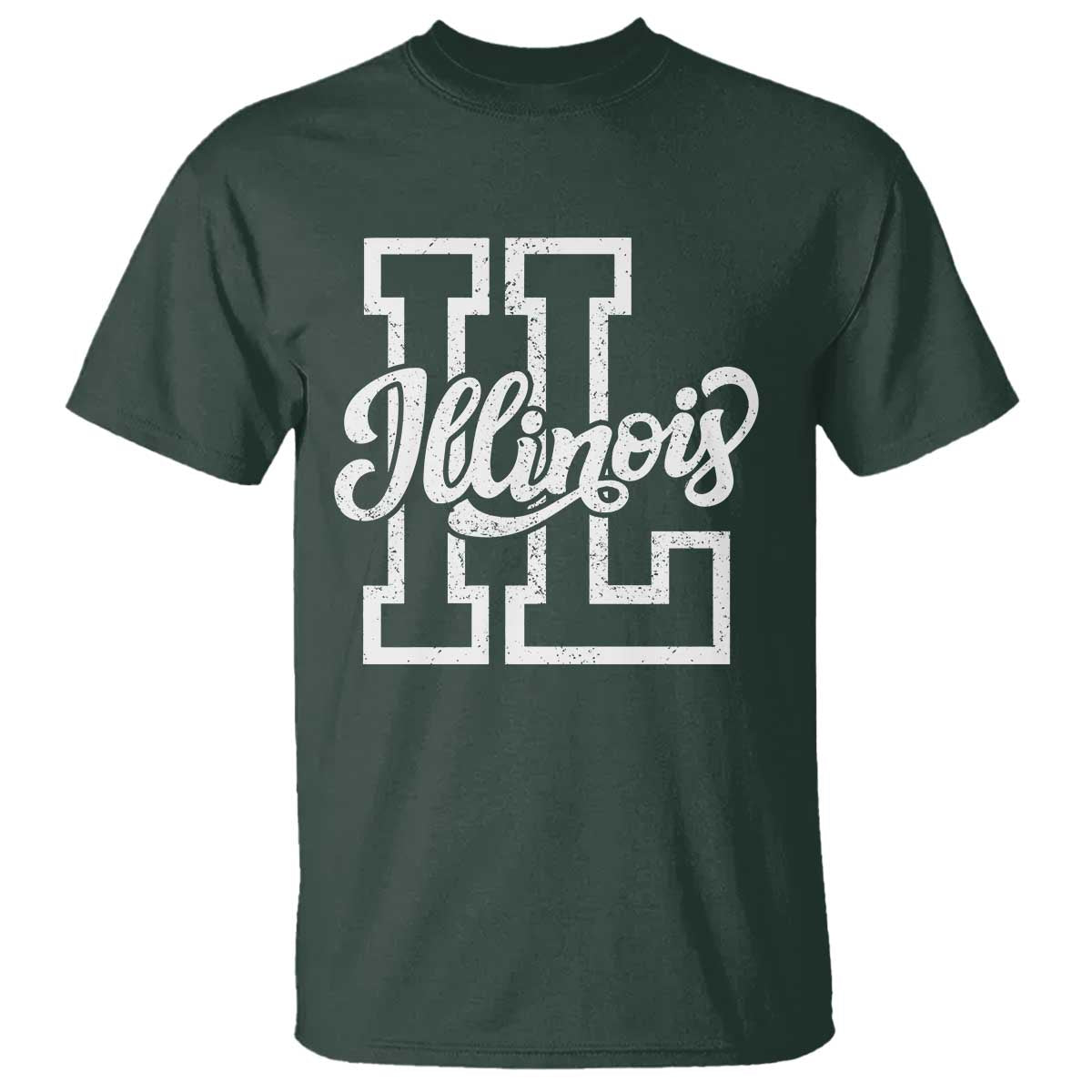 Illinois Sports Fan T Shirt Varsity Aesthetic IL State Pride
