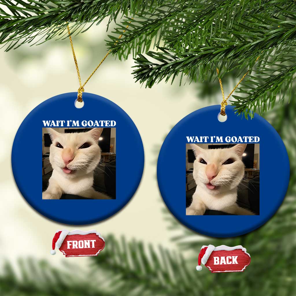 Funny Cat Meme Lover Ceramic Ornament