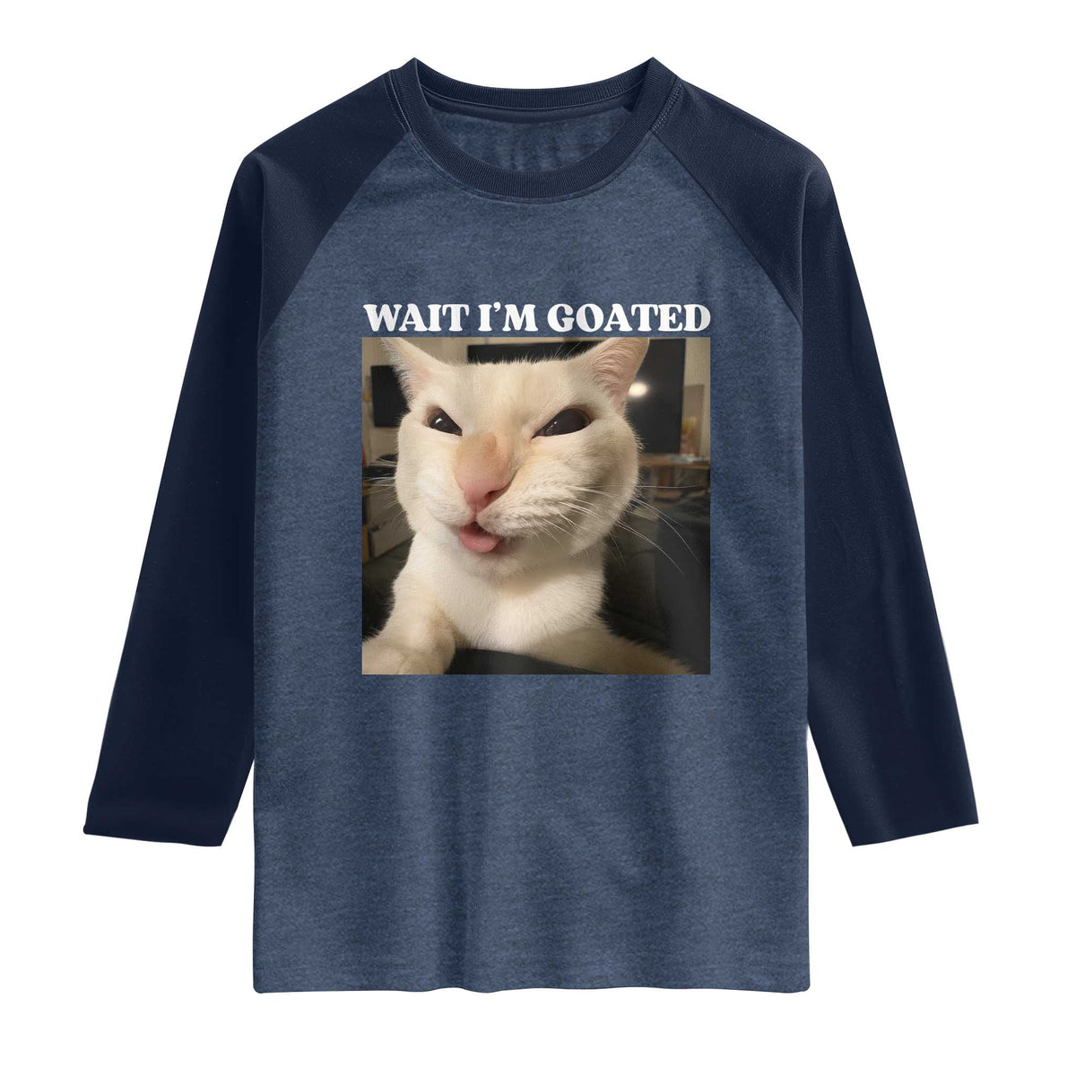 Funny Cat Meme Lover Raglan Shirt