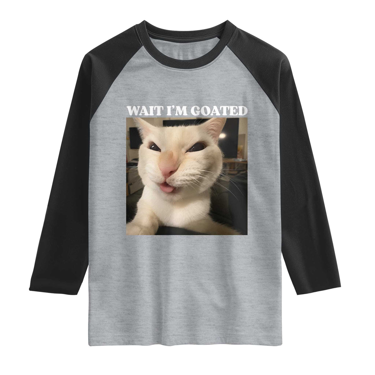 Funny Cat Meme Lover Raglan Shirt