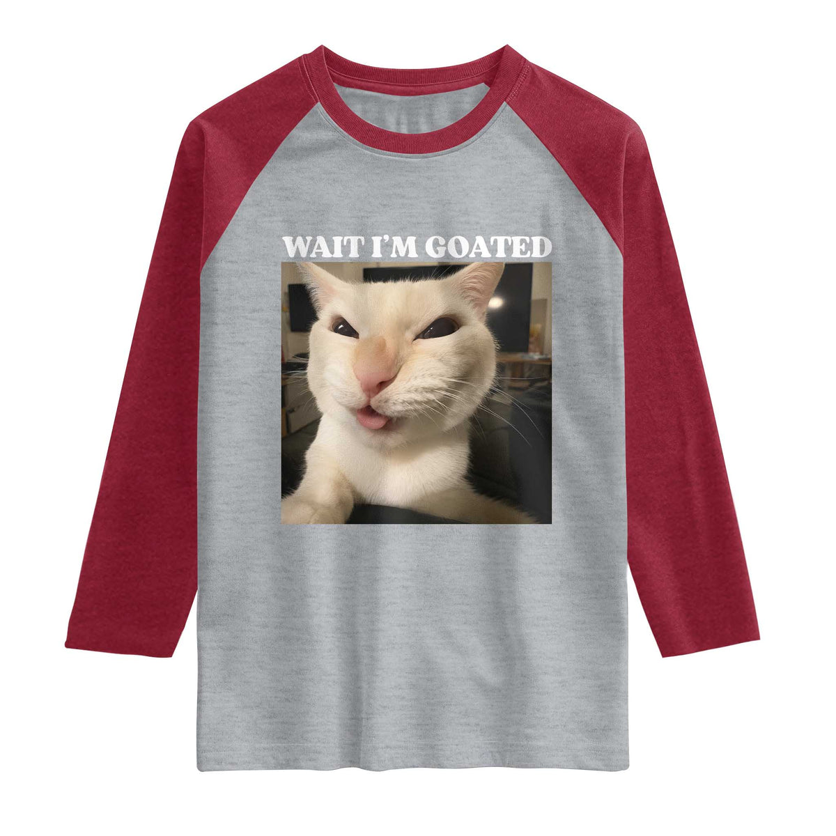 Funny Cat Meme Lover Raglan Shirt