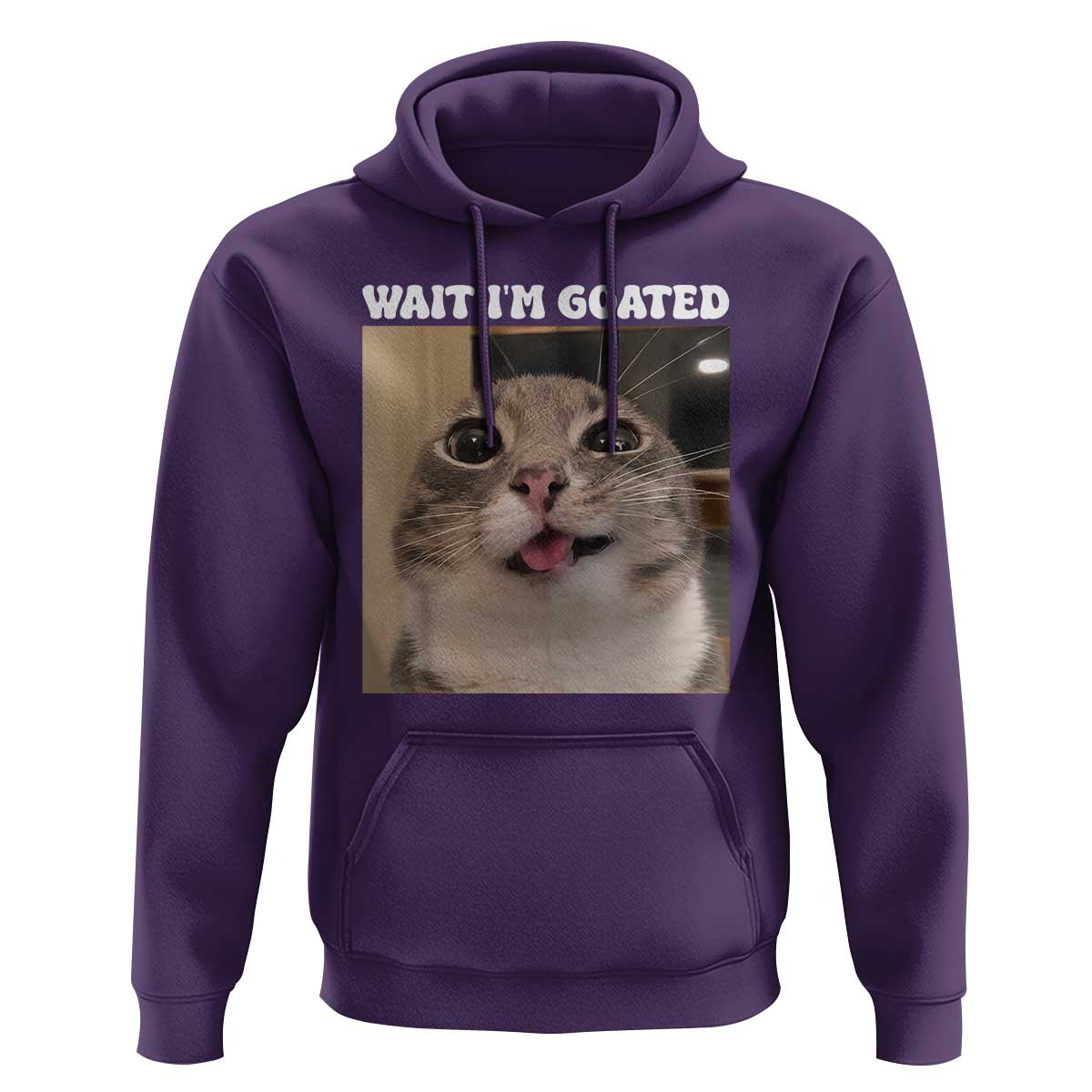 Funny Silly Cat Meme Hoodie Wait Im Goated