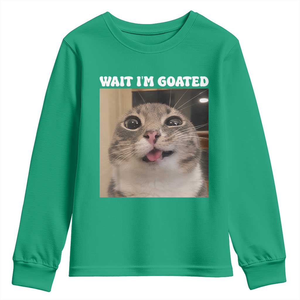 Funny Silly Cat Meme Youth Sweatshirt Wait Im Goated