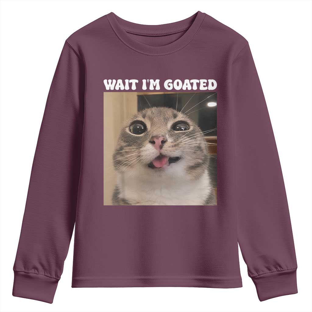 Funny Silly Cat Meme Youth Sweatshirt Wait Im Goated