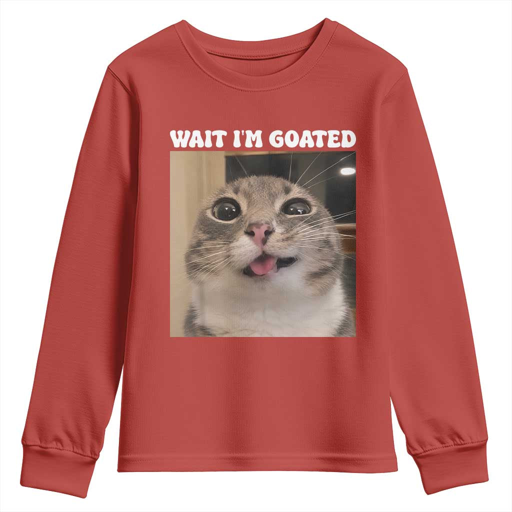 Funny Silly Cat Meme Youth Sweatshirt Wait Im Goated