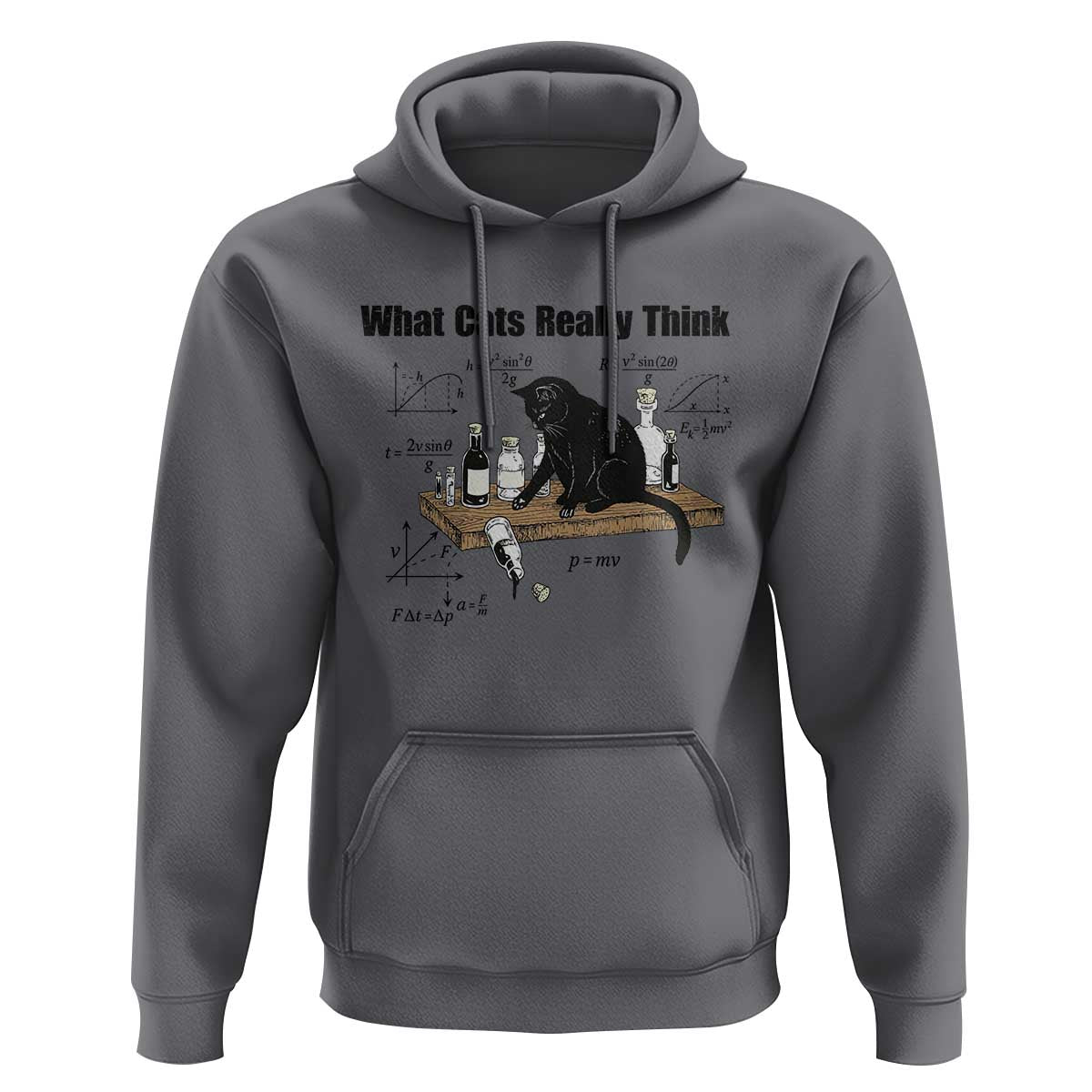 Funny Physics Cat Meme Hoodie What Cats Really Think