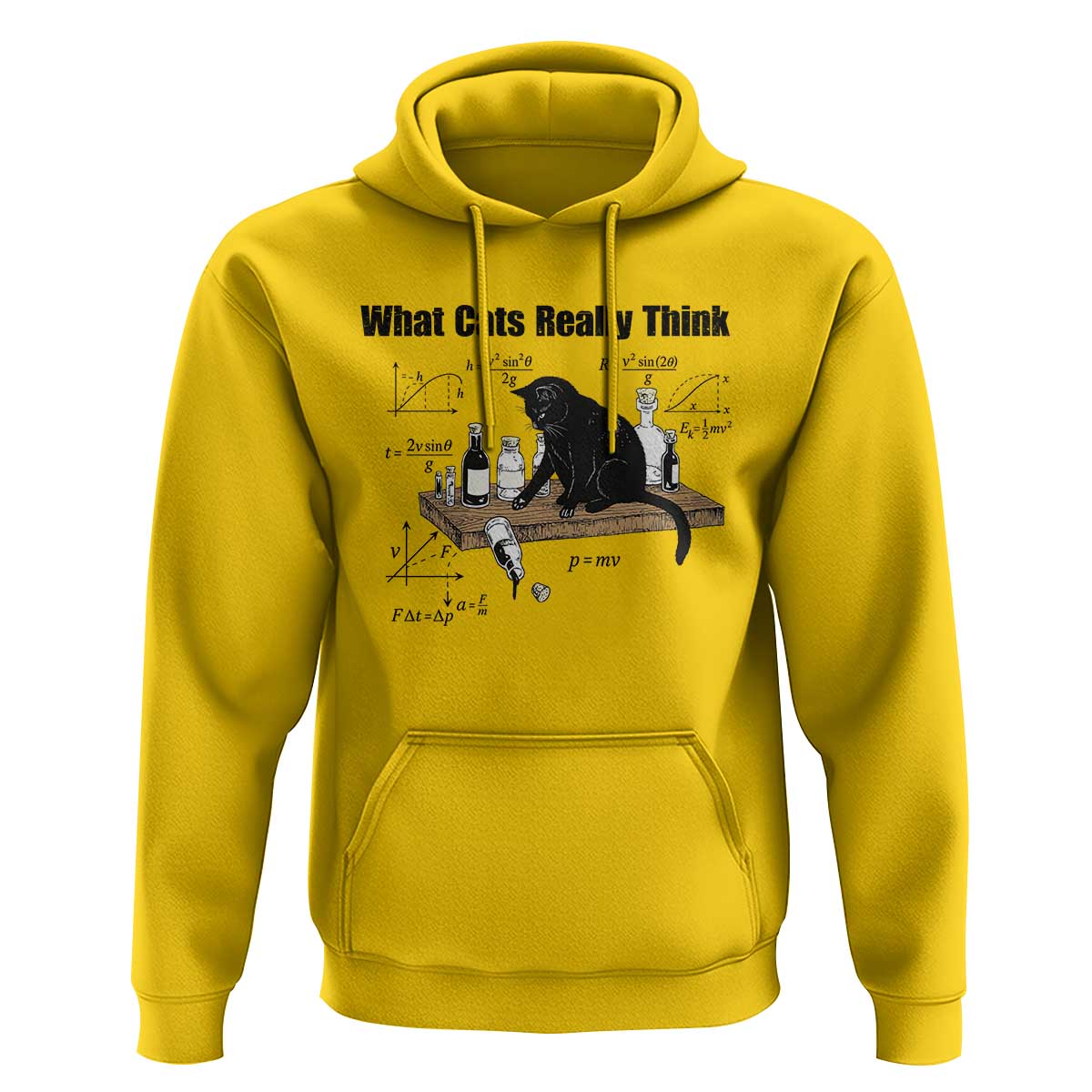 Funny Physics Cat Meme Hoodie What Cats Really Think