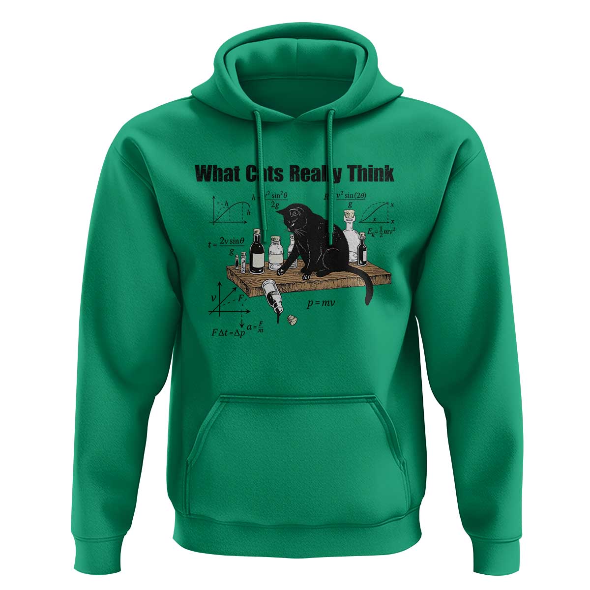 Funny Physics Cat Meme Hoodie What Cats Really Think