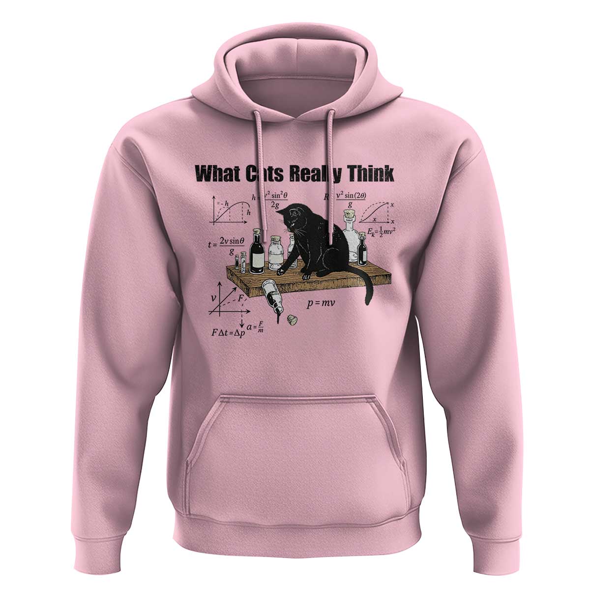 Funny Physics Cat Meme Hoodie What Cats Really Think