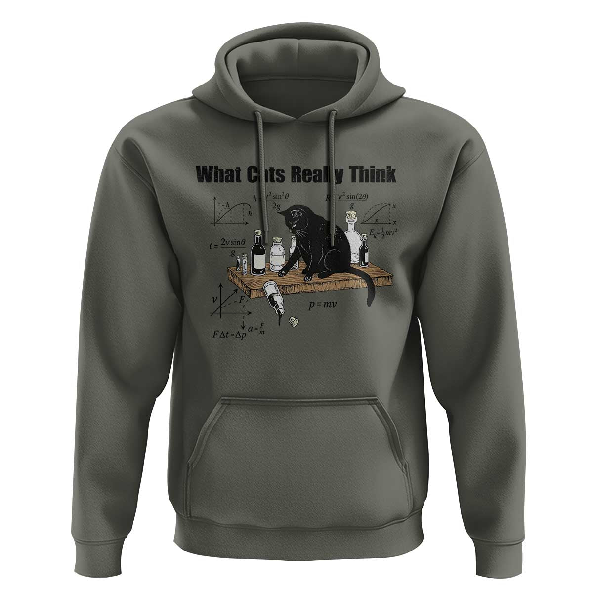 Funny Physics Cat Meme Hoodie What Cats Really Think