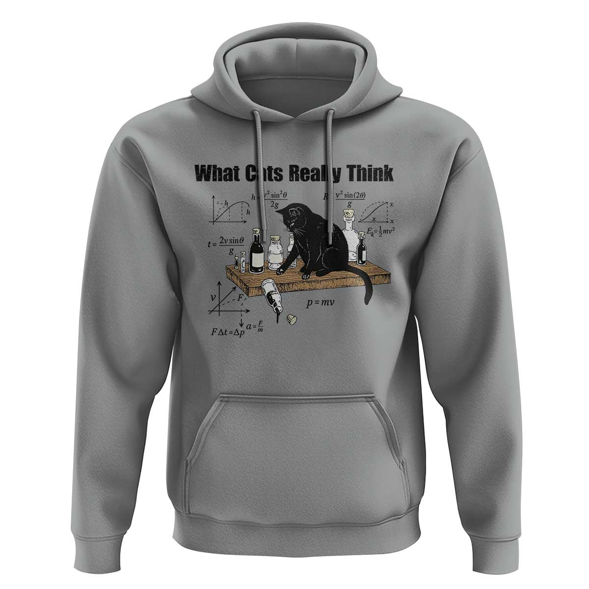 Funny Physics Cat Meme Hoodie What Cats Really Think