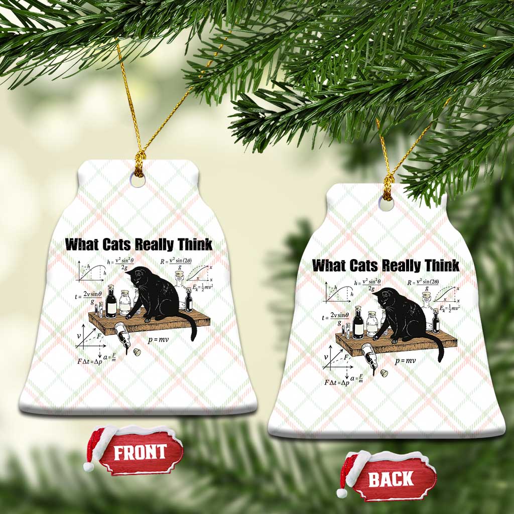 Funny Physics Cat Meme Ceramic Ornament What Cats Really Think