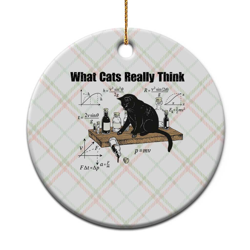 Funny Physics Cat Meme Ceramic Ornament What Cats Really Think