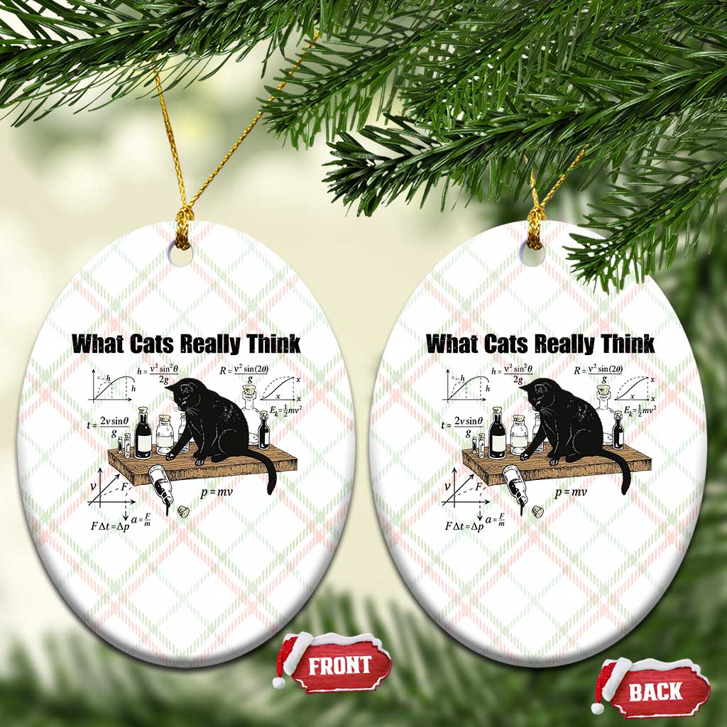 Funny Physics Cat Meme Ceramic Ornament What Cats Really Think