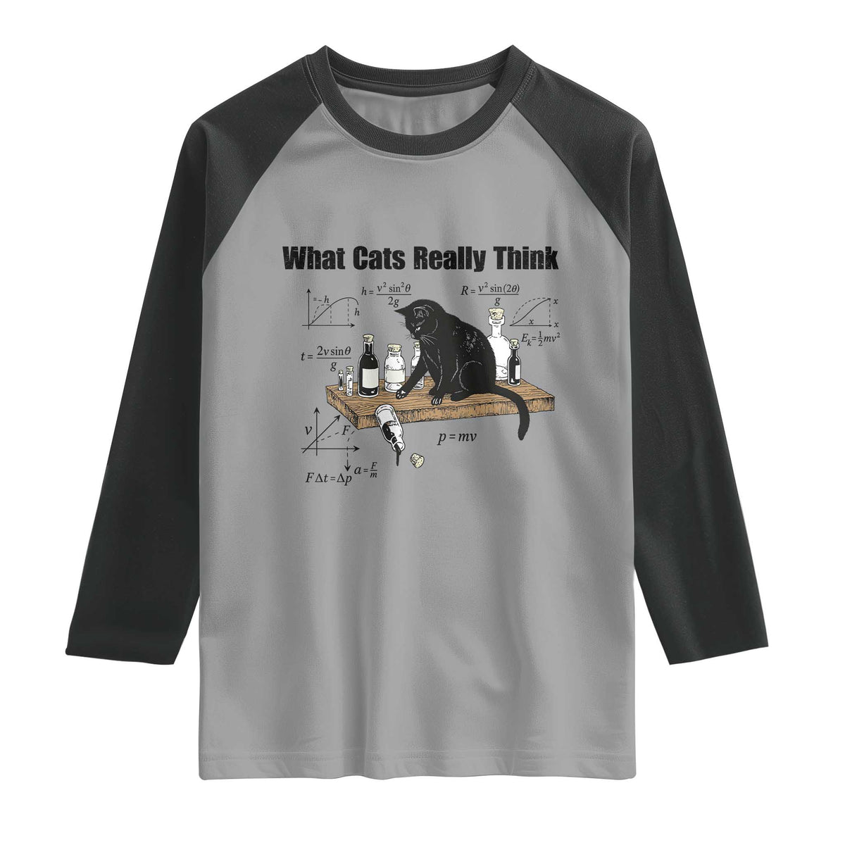 Funny Physics Cat Meme Raglan Shirt What Cats Really Think