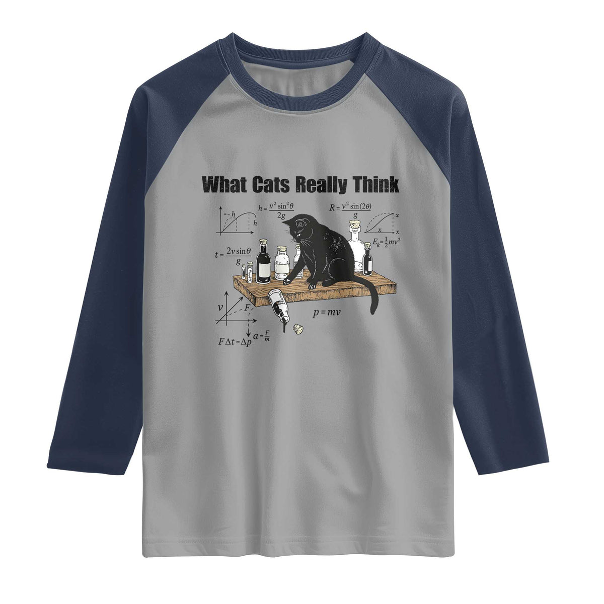 Funny Physics Cat Meme Raglan Shirt What Cats Really Think