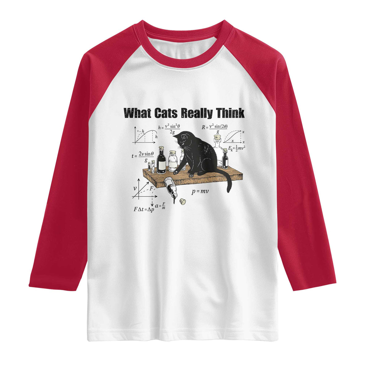 Funny Physics Cat Meme Raglan Shirt What Cats Really Think