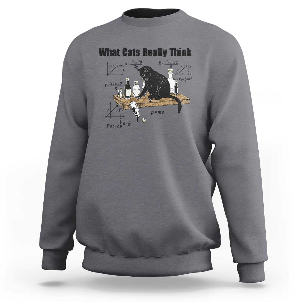 Funny Physics Cat Meme Sweatshirt What Cats Really Think