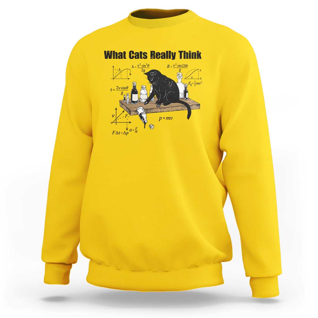 Funny Physics Cat Meme Sweatshirt What Cats Really Think
