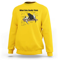 Funny Physics Cat Meme Sweatshirt What Cats Really Think