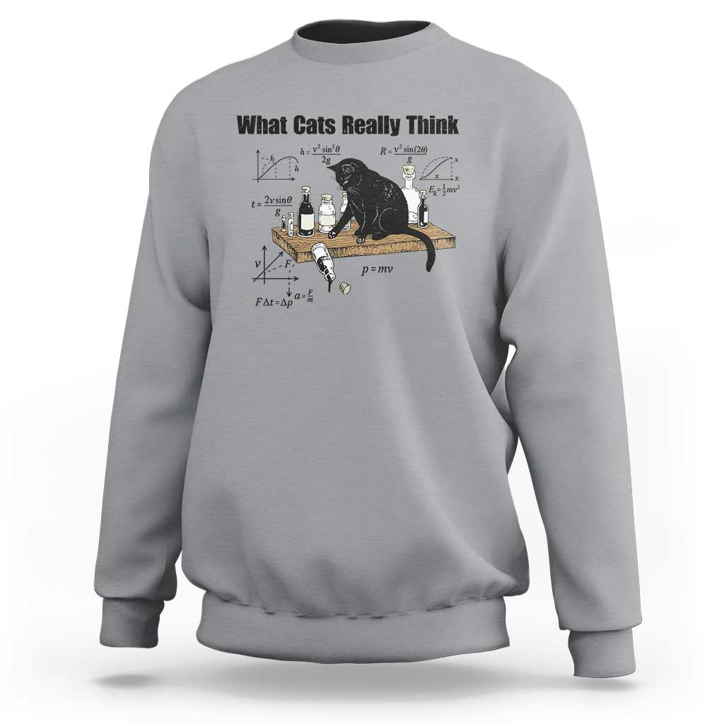 Funny Physics Cat Meme Sweatshirt What Cats Really Think