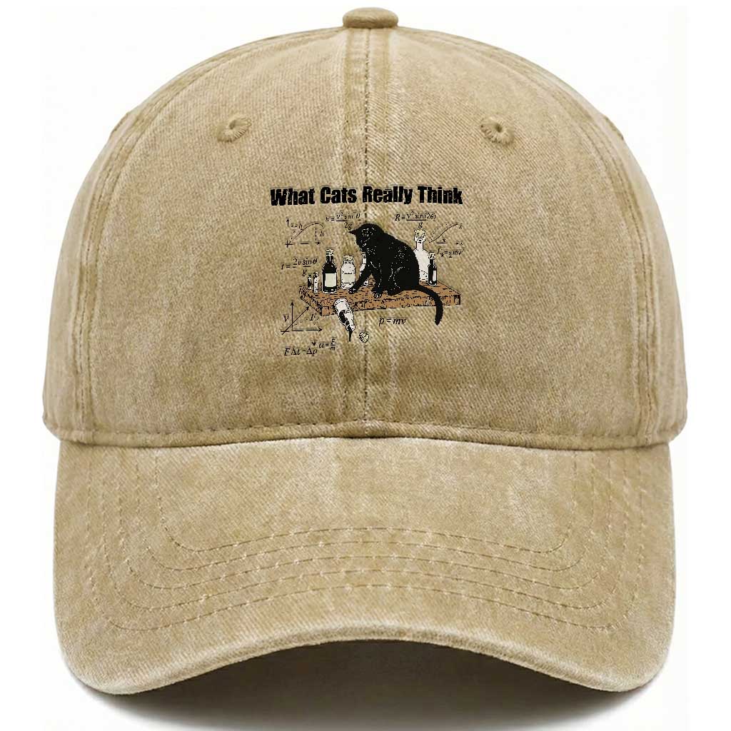 Funny Physics Cat Meme Washed Cotton Baseball Cap What Cats Really Think