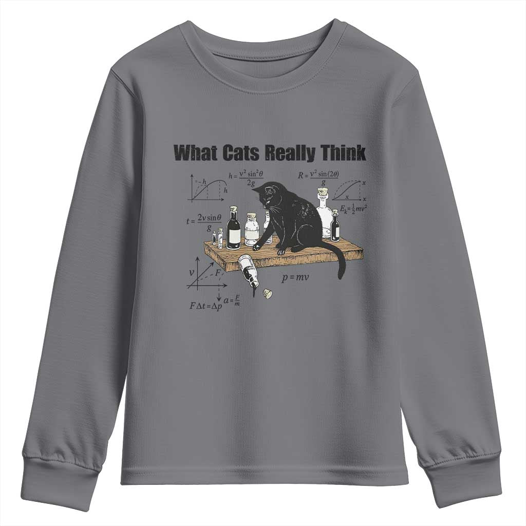 Funny Physics Cat Meme Youth Sweatshirt What Cats Really Think