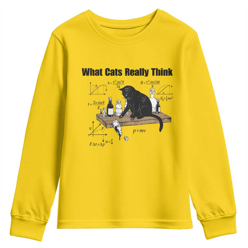 Funny Physics Cat Meme Youth Sweatshirt What Cats Really Think