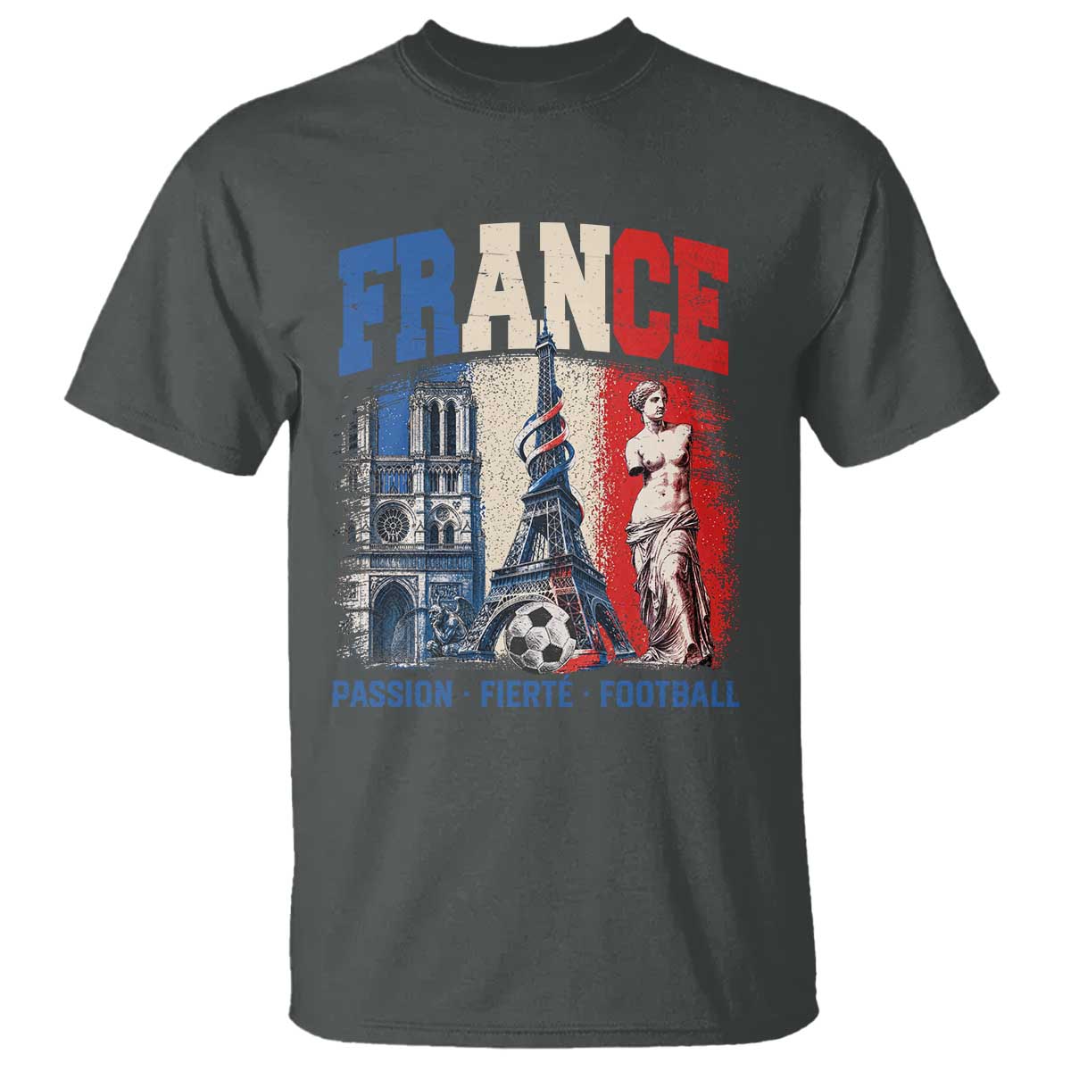 France Soccer Fan Passion T Shirt Fierté Football French Supporter Gift