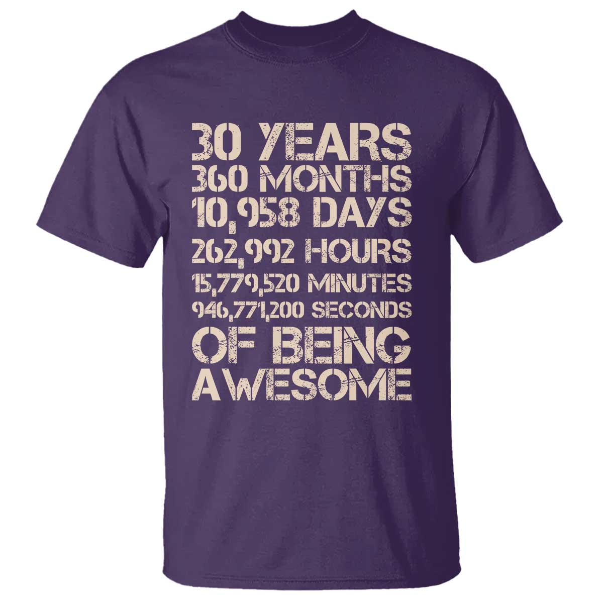 Vintage 30th Birthday Gift T Shirt 30 Years Of Being Awesome