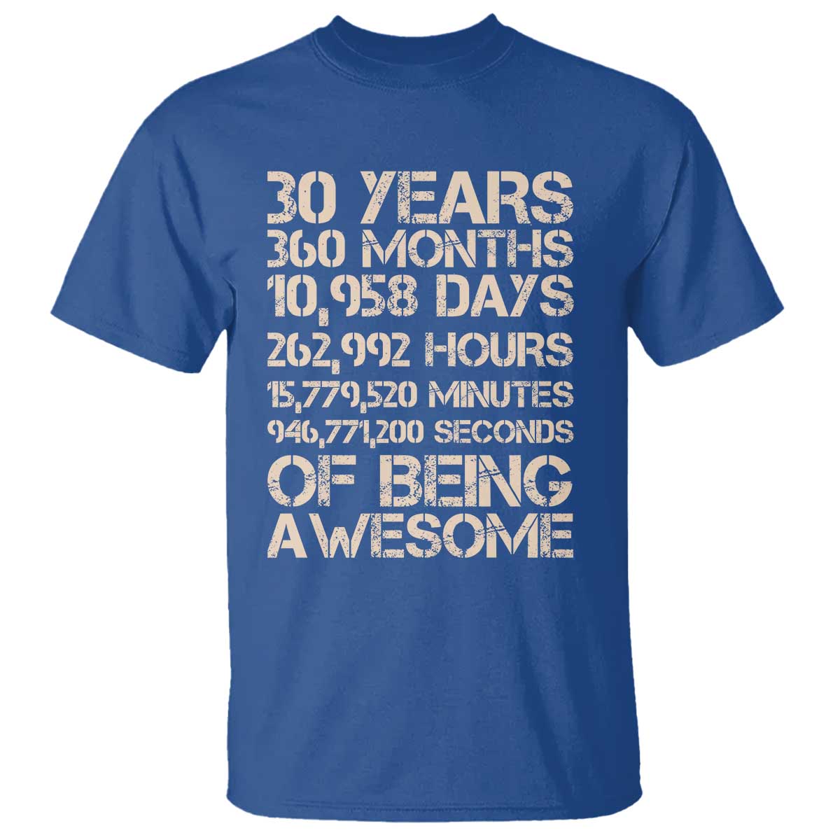 Vintage 30th Birthday Gift T Shirt 30 Years Of Being Awesome