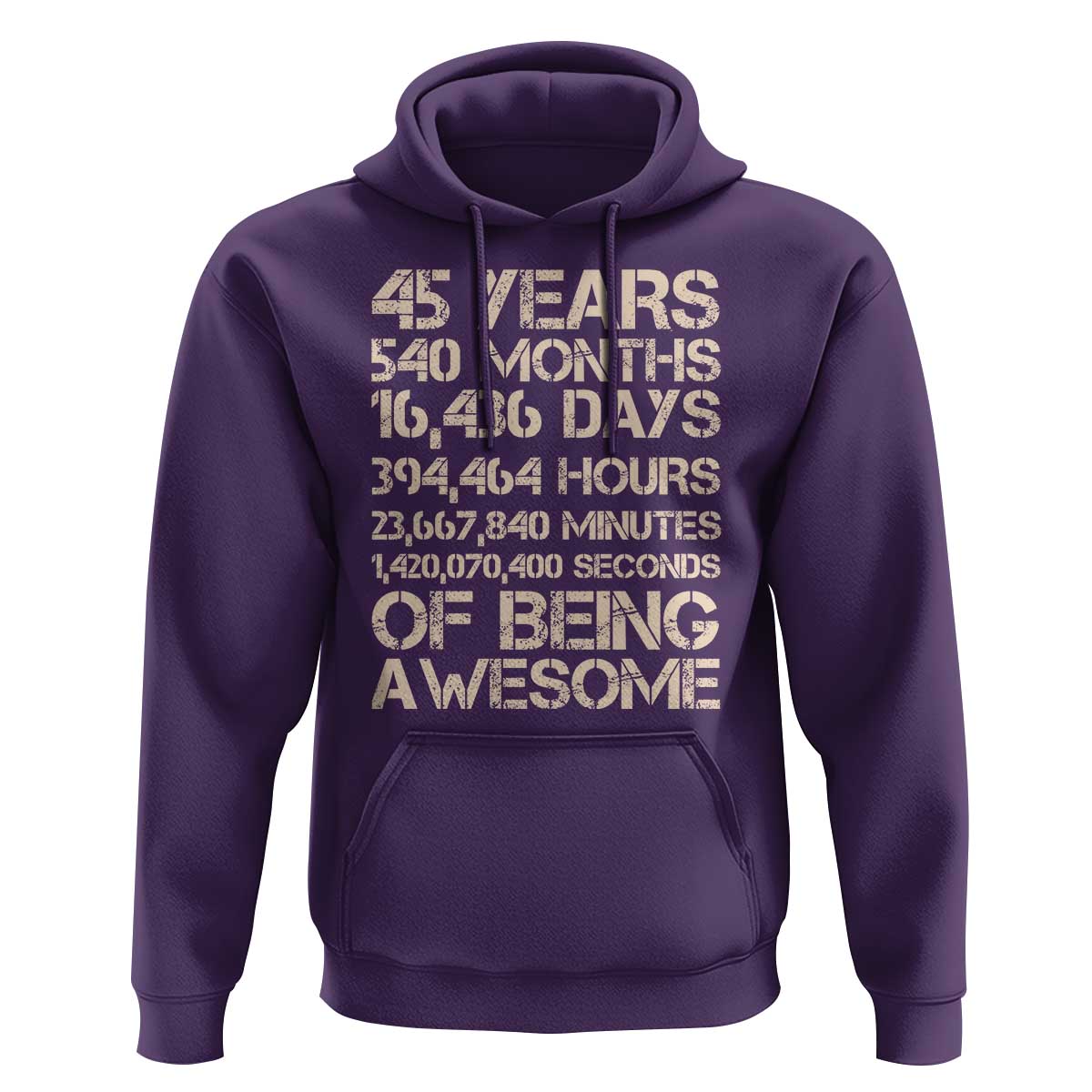 Vintage 45th Birthday Gift Hoodie 45 Years Of Being Awesome
