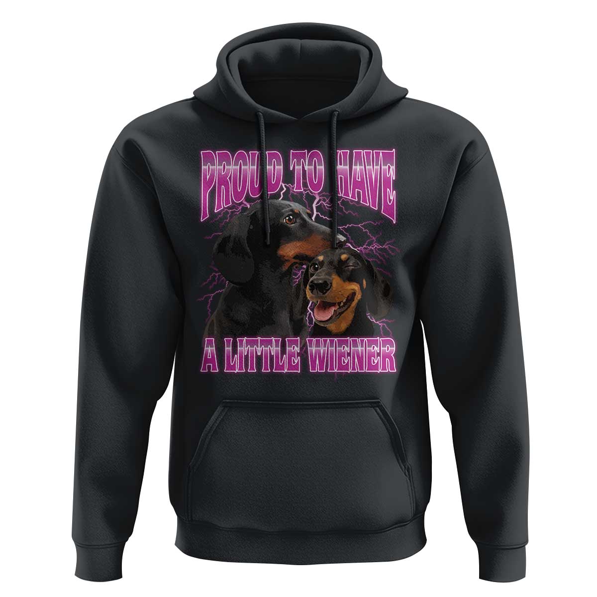 Funny Dachshund Dog Meme Hoodie Proud To Have A Little Wiener - Wonder Print Shop