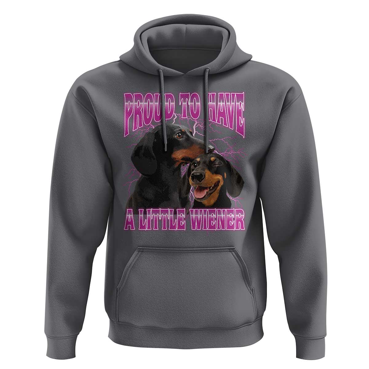 Funny Dachshund Dog Meme Hoodie Proud To Have A Little Wiener - Wonder Print Shop
