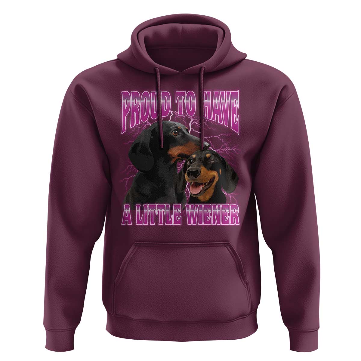 Funny Dachshund Dog Meme Hoodie Proud To Have A Little Wiener - Wonder Print Shop