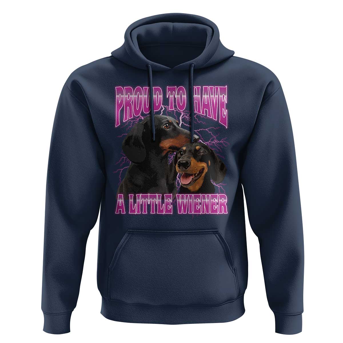 Funny Dachshund Dog Meme Hoodie Proud To Have A Little Wiener - Wonder Print Shop