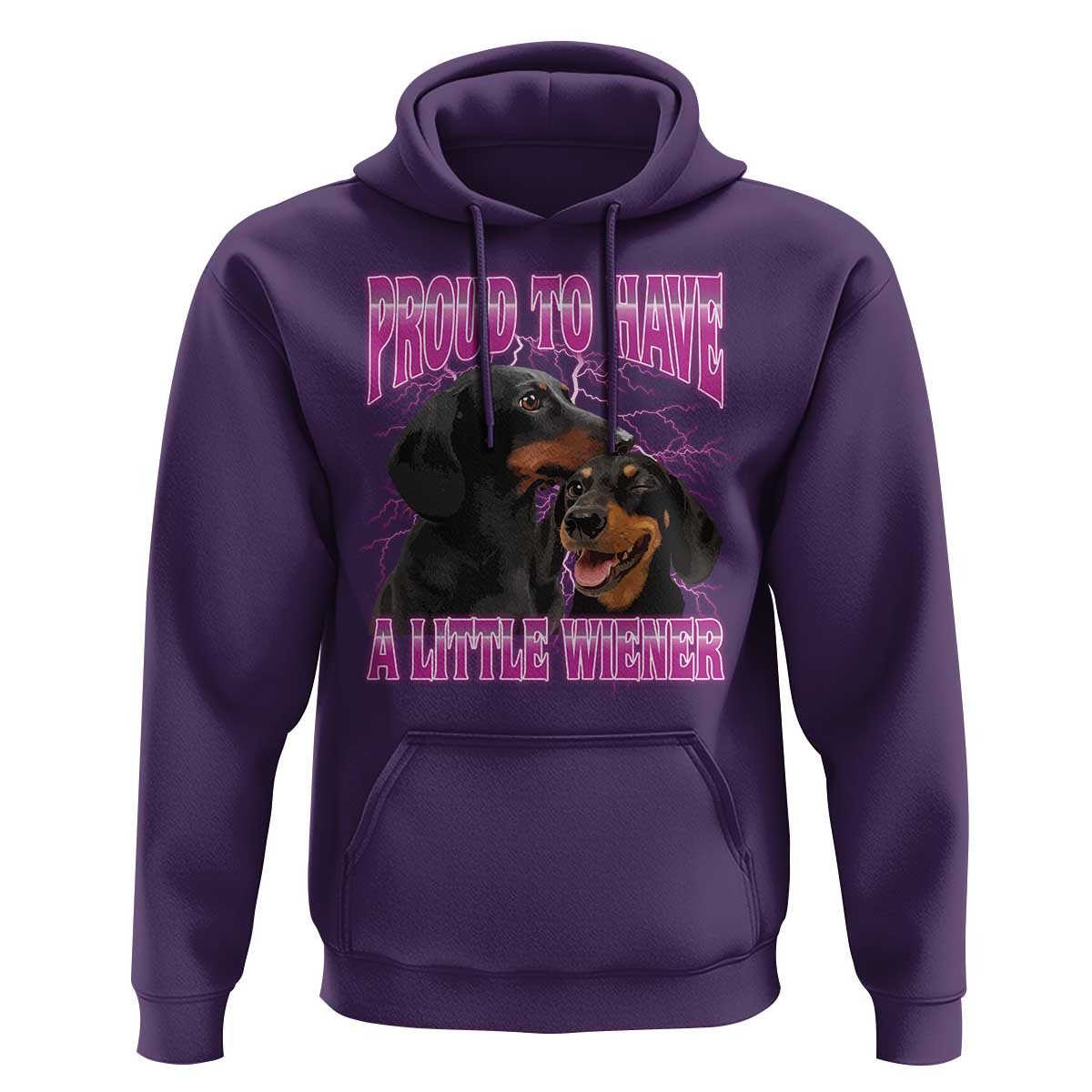 Funny Dachshund Dog Meme Hoodie Proud To Have A Little Wiener - Wonder Print Shop