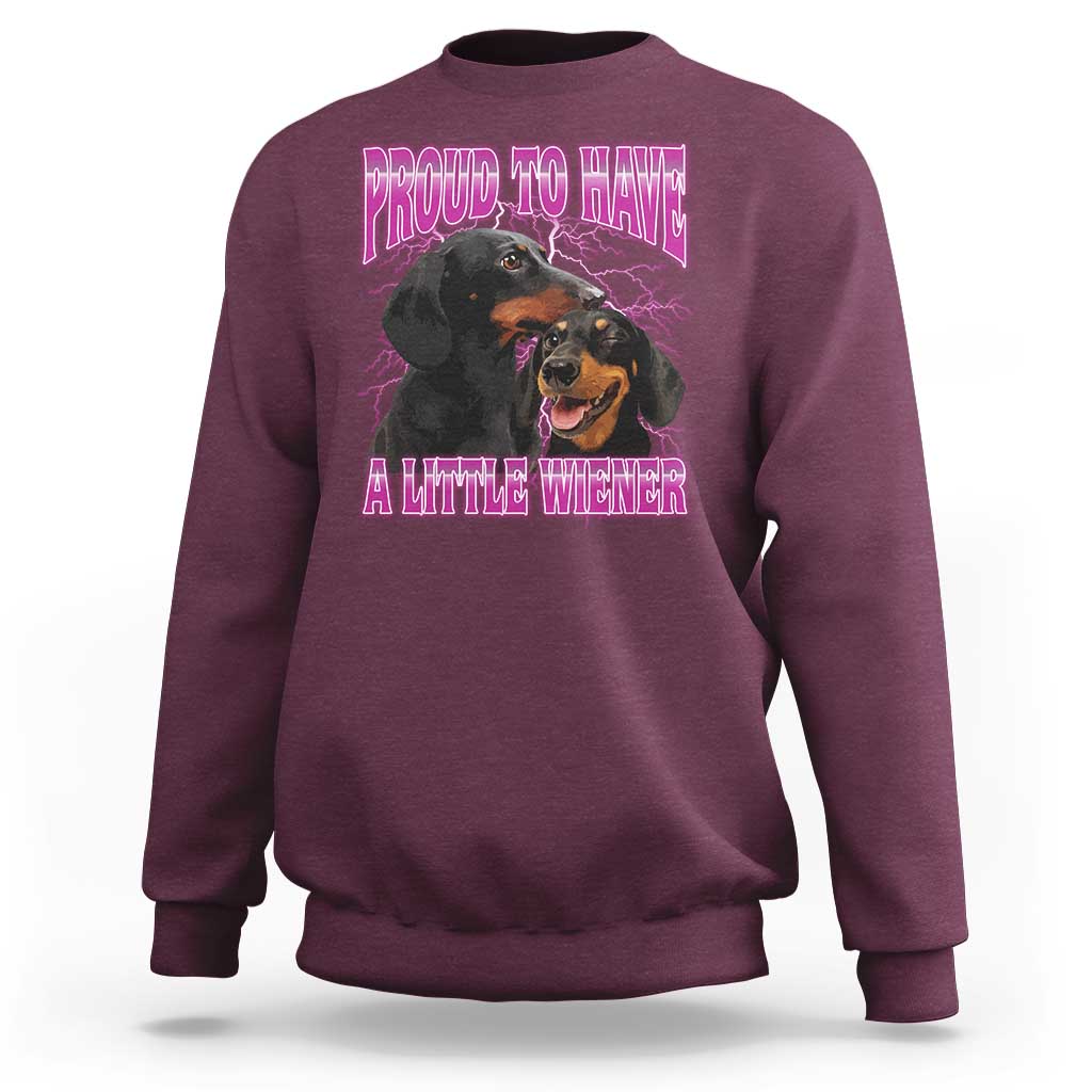 Funny Dachshund Dog Meme Sweatshirt Proud To Have A Little Wiener - Wonder Print Shop