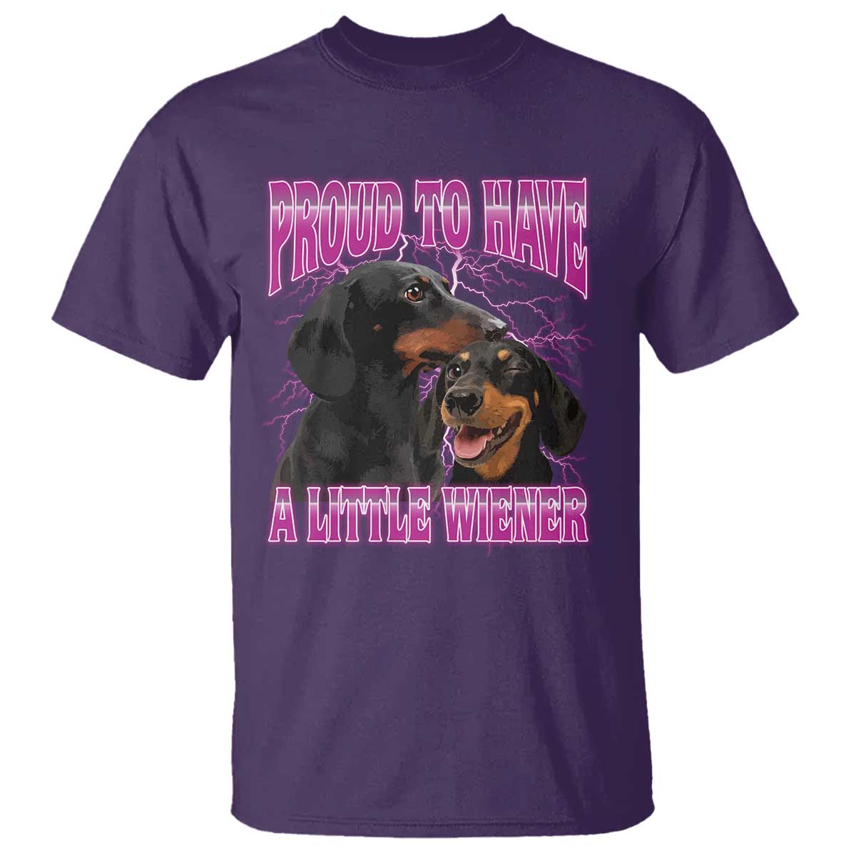 Funny Dachshund Dog Meme T Shirt Proud To Have A Little Wiener - Wonder Print Shop