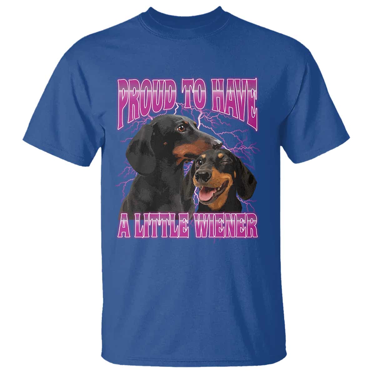 Funny Dachshund Dog Meme T Shirt Proud To Have A Little Wiener - Wonder Print Shop