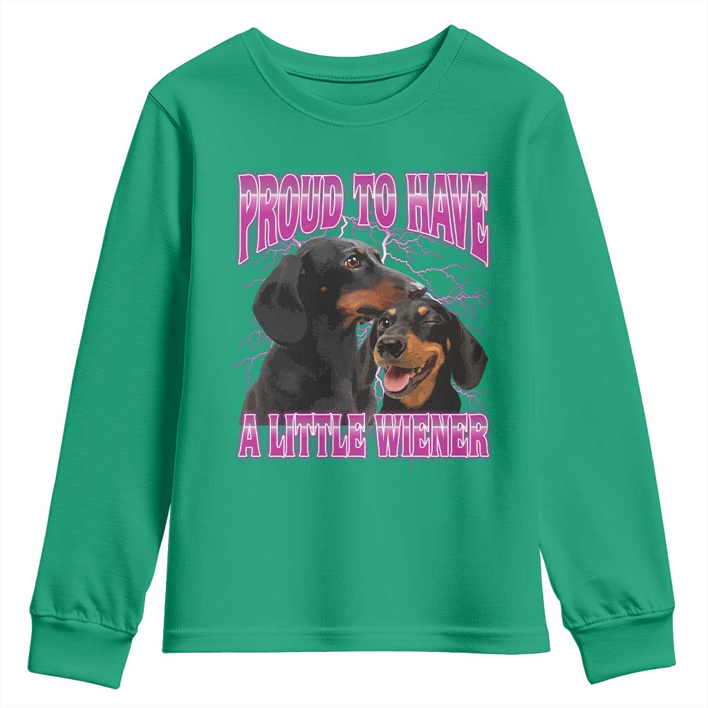Funny Dachshund Dog Meme Youth Sweatshirt Proud To Have A Little Wiener - Wonder Print Shop