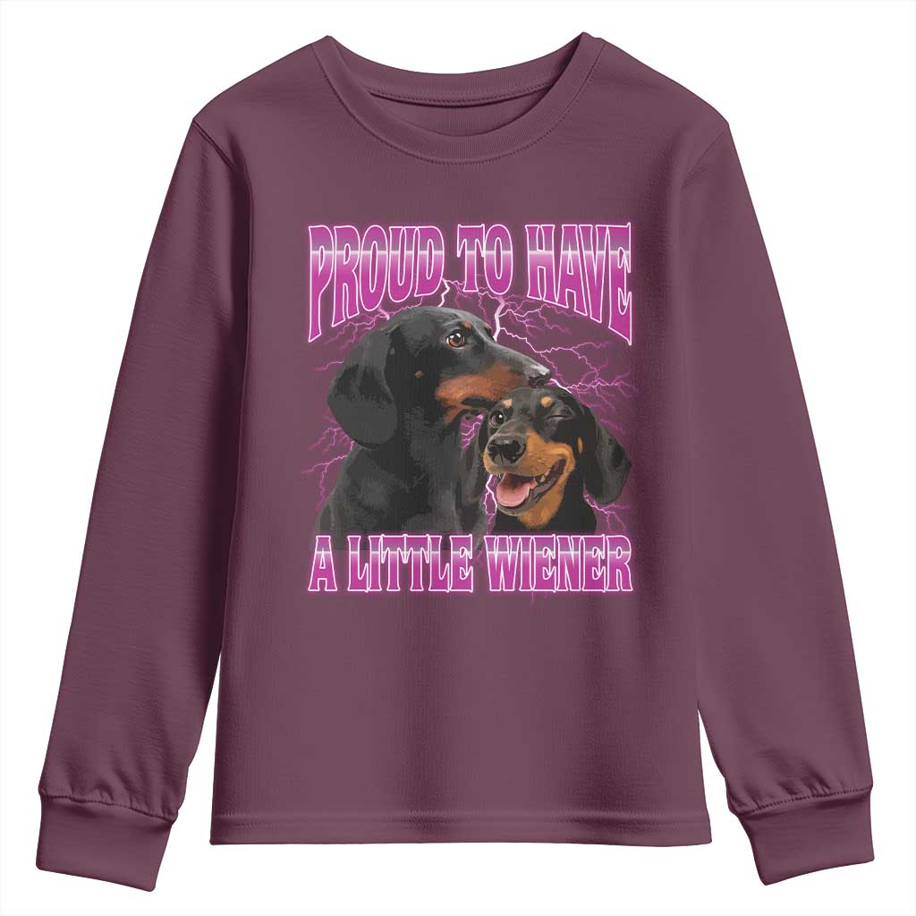 Funny Dachshund Dog Meme Youth Sweatshirt Proud To Have A Little Wiener - Wonder Print Shop